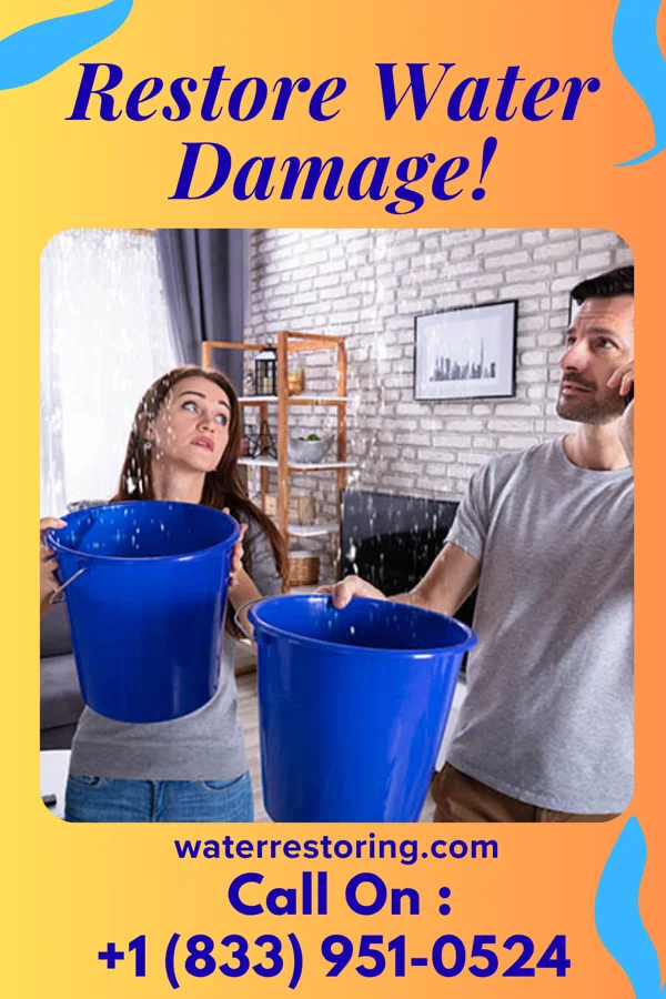 water restoration Stellar Water Cleanup Services Freeland