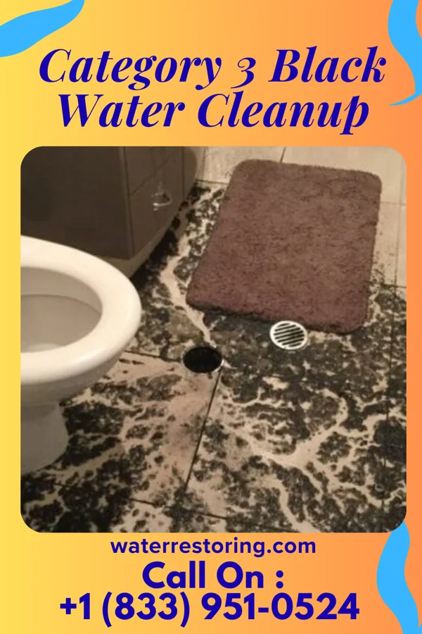 Category 3 Black Water Cleanup in Freeland, PA
