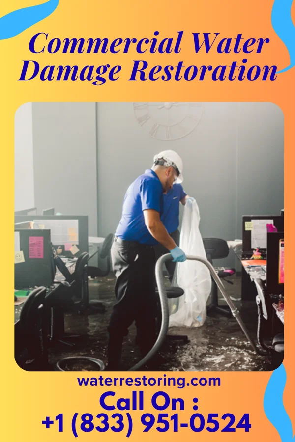 Commercial Water Damage Restoration in Freeland, PA