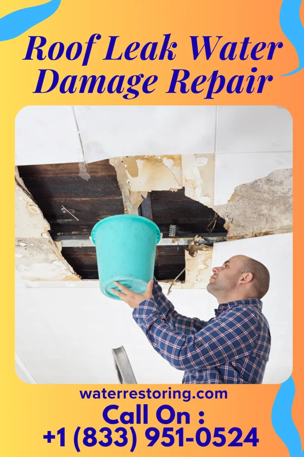 Roof Leak Water Damage Repair in Freeland, PA