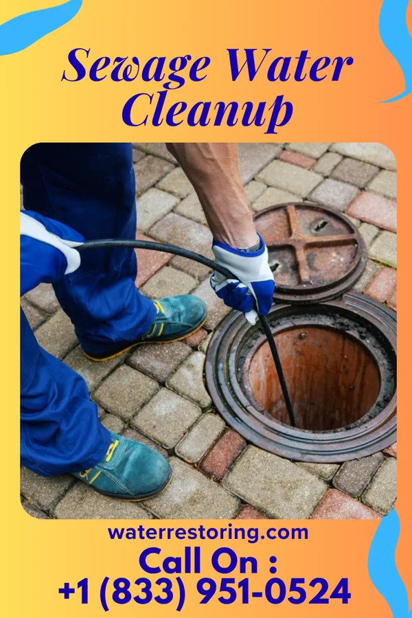 Sewage Water Cleanup in Freeland, PA
