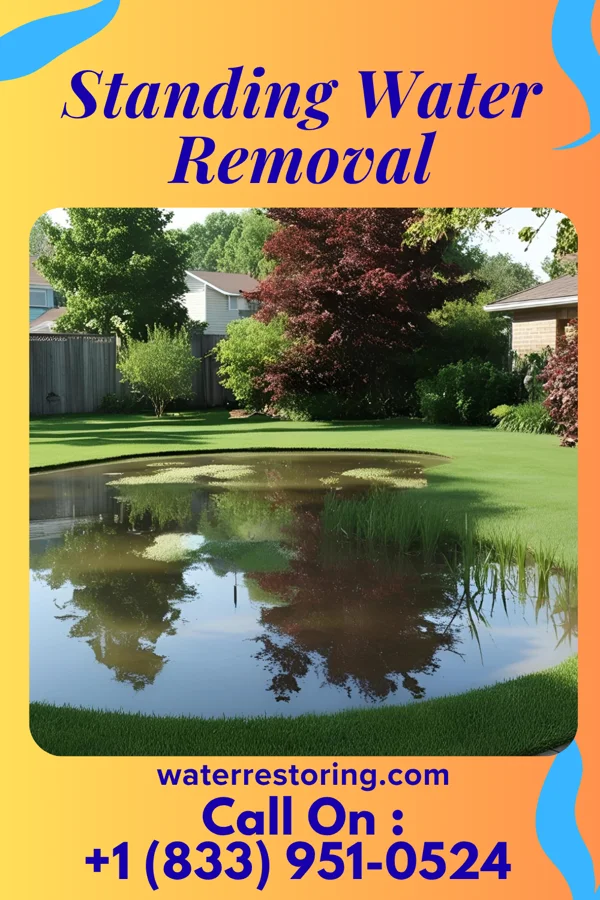 Standing Water Removal in Freeland, PA